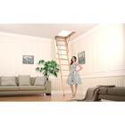 Лестница чердачная DÖCKE PREMIUM, с люком, 700×1200×3000 мм - Фото 2