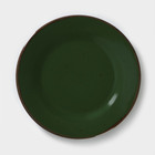Тарелка фарфоровая Punto verde, d=24 см - фото 298322167