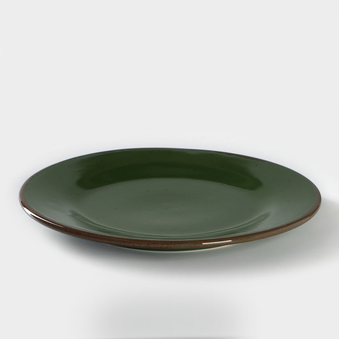 Тарелка фарфоровая Punto verde, d=24 см - фото 1908549088