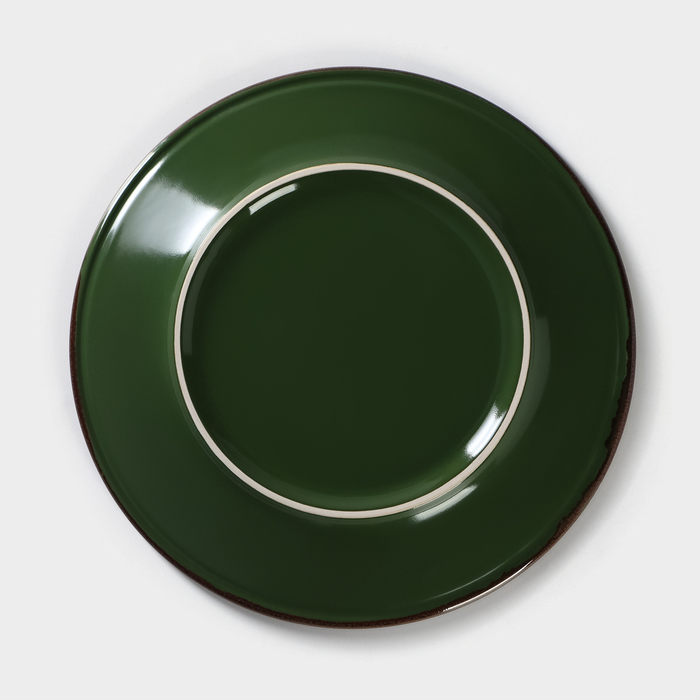 Тарелка фарфоровая Punto verde, d=24 см - фото 1908549090
