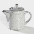 Чайник фарфоровый Nebbia, 500 мл, цвет серый - фото 298488504