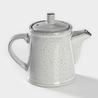 Чайник фарфоровый Nebbia, 500 мл, цвет серый - фото 4303104