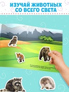 Книжка 500 наклеек «Животные», 8 стр. - Фото 5