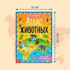 Книга с наклейками «Атлас животных», формат А4, 16 стр. - Фото 2