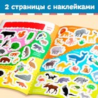 Книга с наклейками «Атлас животных», формат А4, 16 стр. - Фото 3