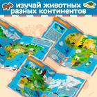 Книга с наклейками «Атлас животных», формат А4, 16 стр. - Фото 4