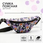 Сумка поясная, 25х6х13 см, Злодейки 4864887 - фото 14037374