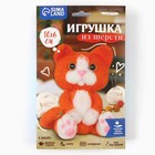 Валяние из шерсти. Игрушка «Рыжий котёнок», набор для творчества - Фото 7