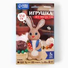 Валяние из шерсти. Игрушка «Зайчик с морковкой», набор для творчества - Фото 10