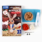 Валяние из шерсти. Игрушка «Зайчик с морковкой», набор для творчества - Фото 2