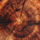 Доска разделочная с ручками Дарим Красиво «Спил», 36×28 см, дерево, коричневая - Фото 4