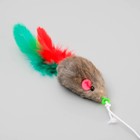 Дразнилка-удочка "Мышка мини", размер игрушки 4,5 см, микс цветов - Фото 2