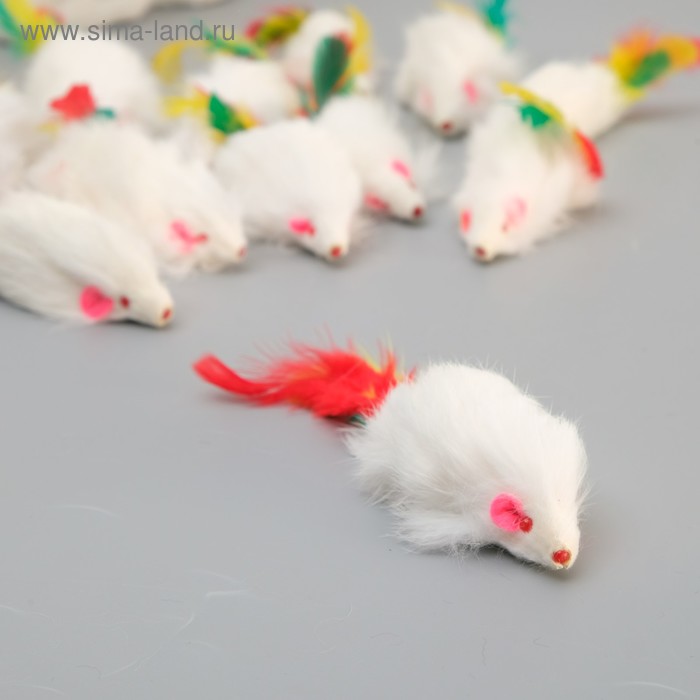 Игрушка "Мышь-погремушка" для кошек с пером, 6-6,5 см, в пакете, микс - Фото 1