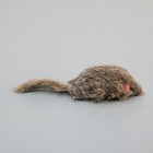 Игрушка "Мышь серая" для кошек, с пищалкой, 7-7,5 см, в пакете, фасовка по 3 шт. - Фото 3