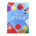 Папка школьная с креплением «Портфолио ученика начальной школы», 5 листов-разделителей, 21.5×30 см - Фото 12