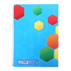 Папка школьная с креплением «Портфолио ученика начальной школы», 5 листов-разделителей, 21.5×30 см - Фото 4