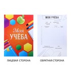 Папка школьная с креплением «Портфолио ученика начальной школы», 5 листов-разделителей, 21.5×30 см - Фото 6