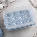 Набор контейнеров для яиц, 2 шт, 22,5×15×7,5 см, цвет МИКС - Фото 2