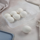 Набор контейнеров для яиц, 2 шт, 22,5×15×7,5 см, цвет МИКС - Фото 3
