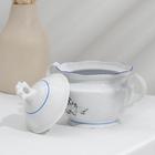 Сервиз чайный Добрушский завод «Гуси», 14 предметов: чашки 6 шт., блюдце 6 шт., чайник, сахарница, фарфор, белый - Фото 8