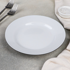 Тарелка фарфоровая «Палитра», d=20 см, белая - фото 4303561
