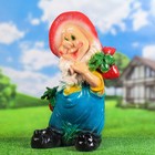 Садовая фигура "Гном с редиской" 54х33см - Фото 4