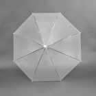 Зонт - трость полуавтоматический, 8 спиц, R = 46 см, цвет МИКС - Фото 12