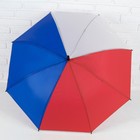 Зонт - трость полуавтоматический «Ассорти», 8 спиц, R = 49,5 см, цвет МИКС - Фото 2