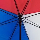 Зонт - трость полуавтоматический «Ассорти», 8 спиц, R = 49,5 см, цвет МИКС - Фото 3