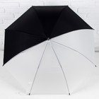 Зонт - трость полуавтоматический «Ассорти», 8 спиц, R = 49,5 см, цвет МИКС - Фото 6