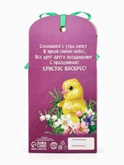 Миндаль в шоколадной глазури «С Праздником Пасхи!», 100 г - Фото 4