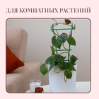 Шпалера, 32×19×0.5 см, пластик, зелёная - Фото 2