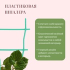 Шпалера, 32×19×0.5 см, пластик, зелёная - Фото 3