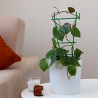 Шпалера, 32×19×0.5 см, пластик, зелёная - Фото 5