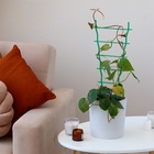 Шпалера, 47×19×0.5 см, пластик, зелёная - Фото 5