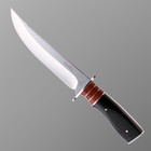 Нож охотничий "Казбек" - Фото 3
