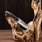 Нож охотничий "Сарыч" сталь - 50х14, рукоять - дерево, 25 см - Фото 2