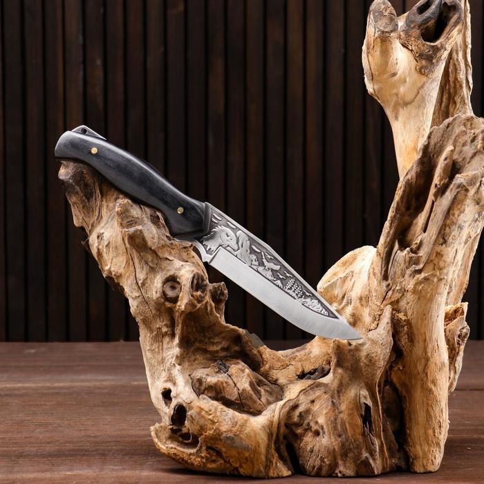 Нож охотничий "Сарыч" сталь - 50х14, рукоять - дерево, 25 см - фото 1905642866