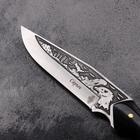 Нож охотничий "Сарыч" сталь - 50х14, рукоять - дерево, 25 см - Фото 3