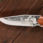 Нож охотничий "Сарыч" сталь - 50х14, рукоять - дерево, 25 см - Фото 5