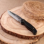 Нож охотничий "Сарыч" сталь - 50х14, рукоять - дерево, 25 см - Фото 7