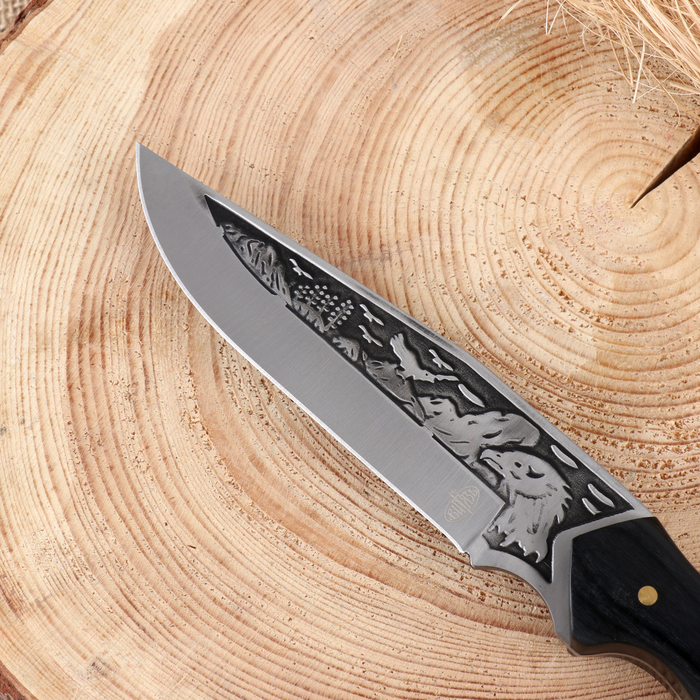 Нож охотничий "Сарыч" сталь - 50х14, рукоять - дерево, 25 см - фото 1905642873