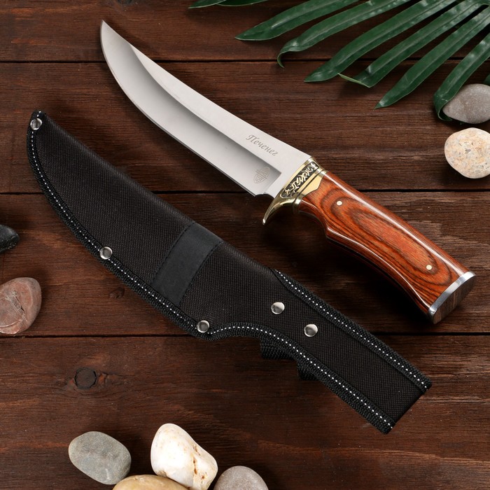 Нож охотничий "Печенег" сталь - 50х14, рукоять - бакелит, 30 см