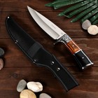 Нож охотничий "Ратмир" - фото 11884116