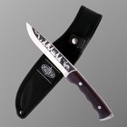 Нож охотничий "Алтай" сталь - 65х13, рукоять - дерево, 24 см - фото 318308640