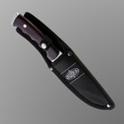 Нож охотничий "Алтай" сталь - 65х13, рукоять - дерево, 24 см - Фото 2