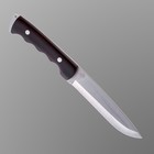 Нож охотничий "Алтай" сталь - 65х13, рукоять - дерево, 24 см - Фото 4