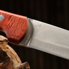 Нож охотничий "Алтай" сталь - 65х13, рукоять - дерево, 24 см - Фото 6