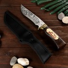 Нож охотничий "Велес" - фото 298323599