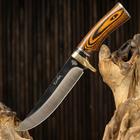 Нож охотничий "Казбек" - фото 11884166